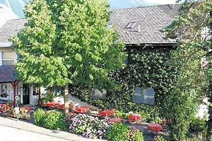 Landgasthof Kirchenwirt 3* Grossraming